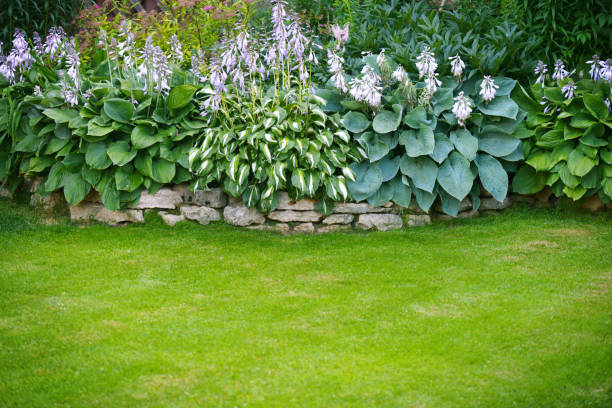istock Beautiful garden with green grass 1163593421