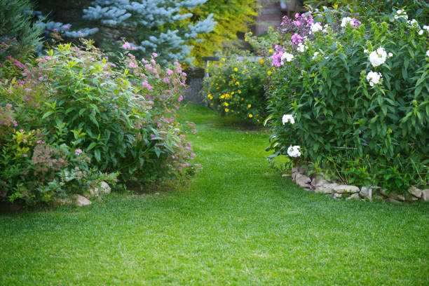 istock Beautiful garden with green grass 1163594473