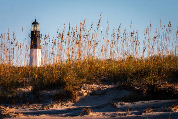 tramonto sul faro di tybee island in georgia, usa. - sand beach sand dune sea oat grass foto e immagini stock