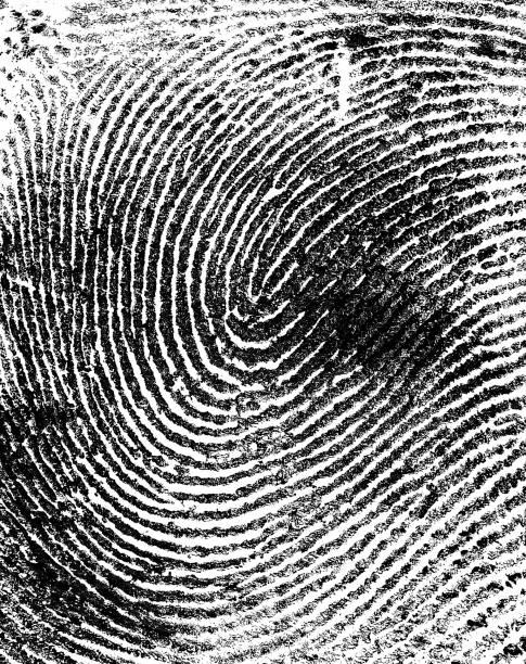 istock Fingerprint on white paper, as background. 1163595585