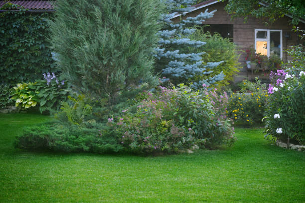 istock Beautiful garden and holiday villa 1163599590