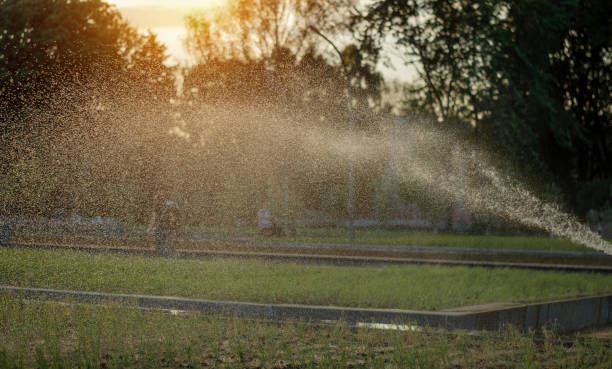 istock Lawn watered. Fresh green grass. Summer photo. 1163599802