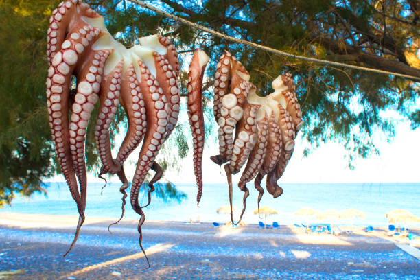 istock Two fresh octopuses are dried on a rope and hooks with background of a tree beach and Mediterranean sea in Greece 1163599869