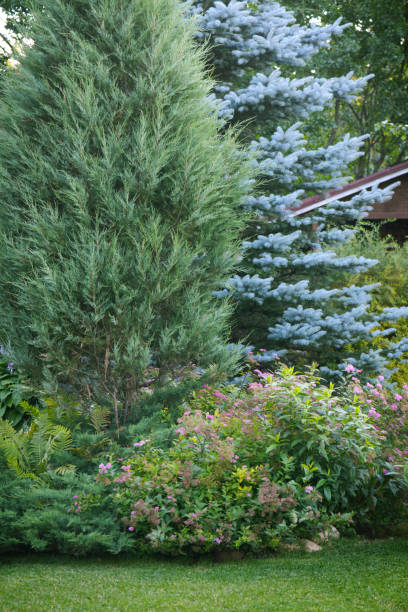 istock Beautiful garden with green grass 1163600572