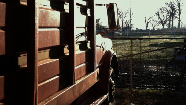 klasyczny samochód ciężarowy zbożowy i przyczepa paliwowa zaparkowana w starej stodole na farmie w oklahomie - fuel storage tank fossil fuel farm refueling zdjęcia i obrazy z banku zdjęć