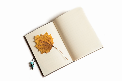 Hoja de algodón de otoño seca amarilla en el cuaderno aislado sobre el fondo blanco. Herbario. Fondo de otoño. photo
