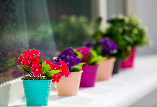 Artificial plants in the colorful flowerpot in front of the window.