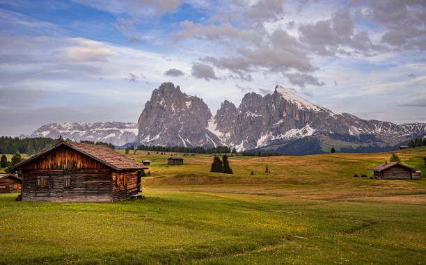 istock Seiser Alm, Dolomites, South Tyrol, Italy, Europe 1163602432