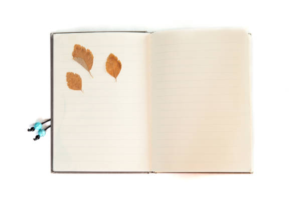 istock Yellow dried autumn birch leaf in the notebook isolated on the white background. Herbarium. Autumn background. 1163602445