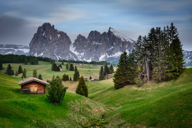 istock Seiser Alm, Dolomites, South Tyrol, Italy, Europe 1163602539