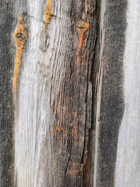 istock Dark grey white wooden background - Painted old wood facade 1163604033