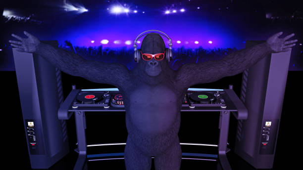 dj горилла, диск жокей обезьяна играет музыку на вертушки, обезьяна на сцене с диджей аудио оборудование, задний вид, 3d визуализации - safari animals audio стоковые фото и изображения