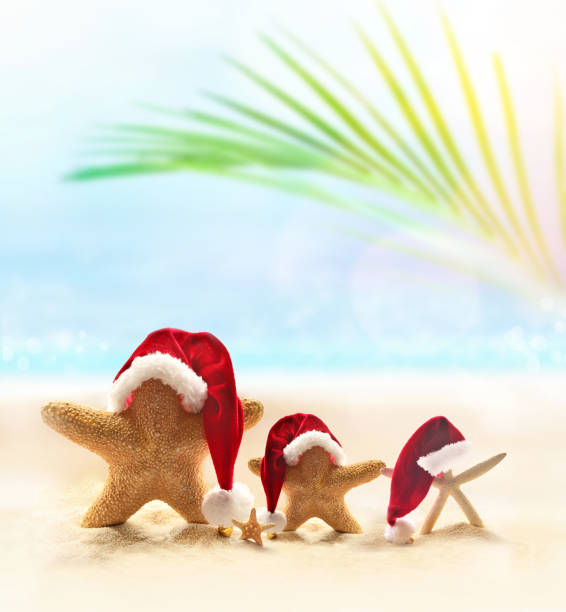 istock Starfish in Santa hat on the summer beach. Christmas concept 1163608897