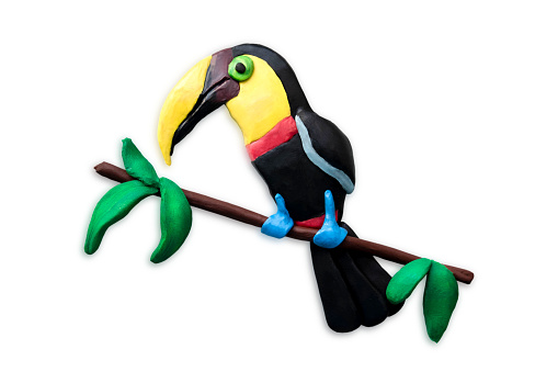 Plasticine toucan closeup isolated on white background. Tropical plasticine bird molded with his own hands.