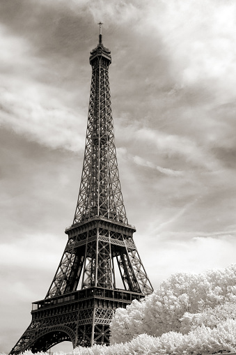A full shot of the Eiffel Tower, taken in black & white.