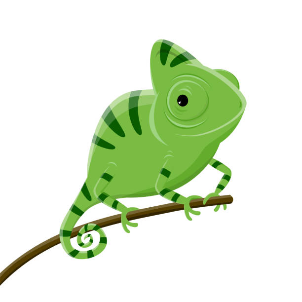 ilustraciones, imágenes clip art, dibujos animados e iconos de stock de ilustración de dibujos animados de un camaleón verde - chameleon