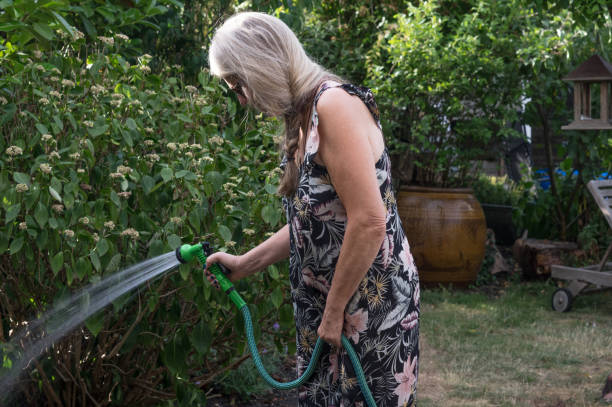 istock Woman watering the garden 1163613435