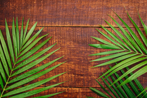 green palm leaves on a wood floor background lay flat