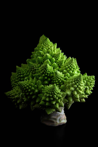 broccoli romanesco - romanesque broccoli cauliflower cabbage foto e immagini stock