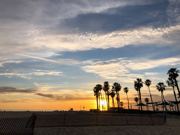 istock Sunset over Venice beach with palm trees and colorful sky 1163622500