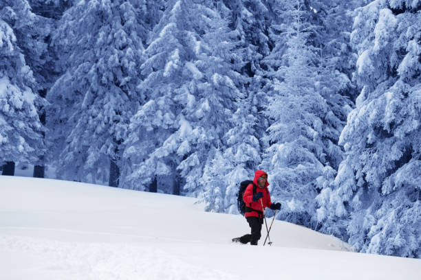 istock Hiker makes his way on slope with new-fallen snow 1163630090