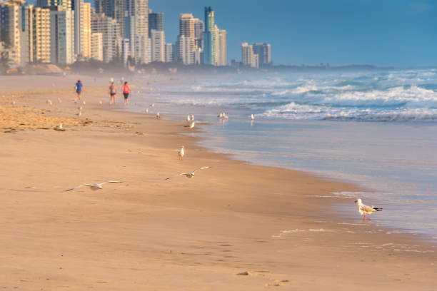 istock Beach sunrise with unidentifiable people jogging and doing sports 1163630499