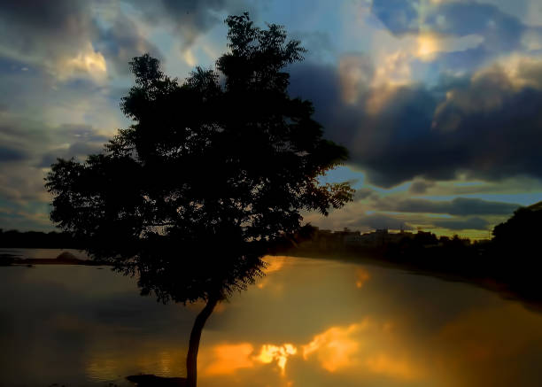 Sunset seen trees along with lake and colorful dramatic sky.