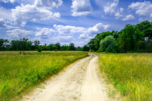 istock Dirt road winding through wild grass and trees in Belarus countryside 1163633210