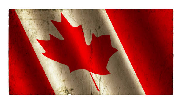 istock Flag of Canada waving background 1163638863