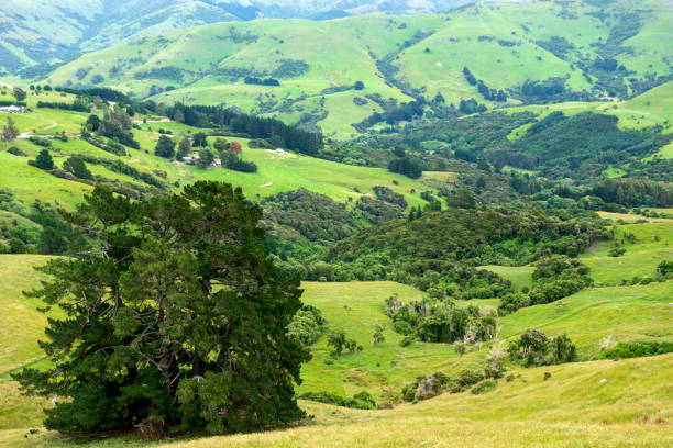 istock Scenic Valley near Akaroa 1163640171