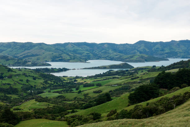 istock High angle view of Akaroa Harbor 1163640173