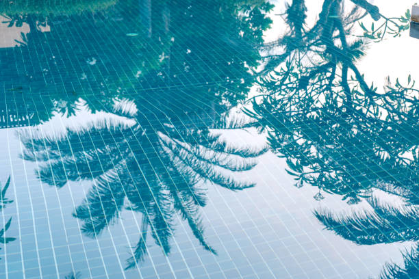 istock Shadow of palm tree on blue water 1163644712