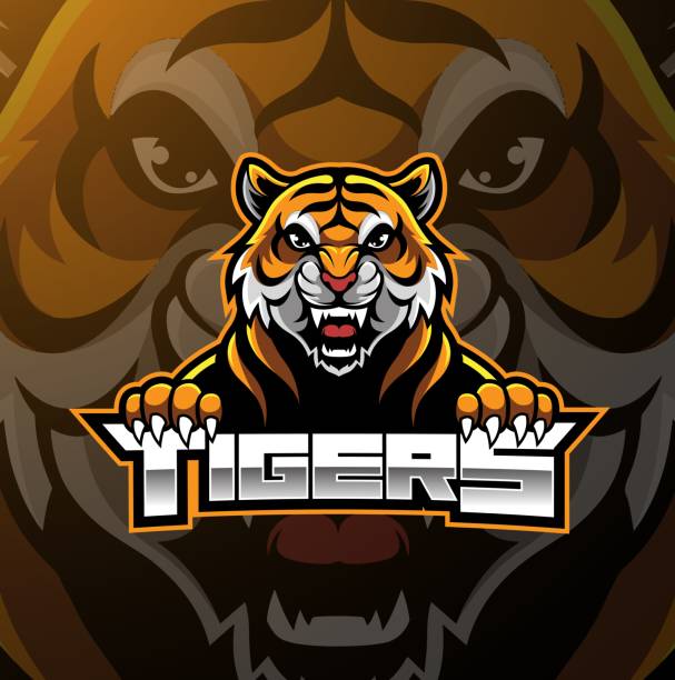 illustrazioni stock, clip art, cartoni animati e icone di tendenza di design del logo della mascotte tiger face - tiger roaring danger power