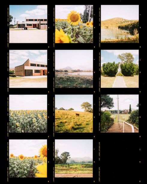 Photography contact sheet of a set of shots in countryside. Analog film photo style presentation for press agencies and artist with photos marked Photography contact sheet of a set of shots in countryside. Analog film photo style presentation for press agencies and artist with photos marked analog photos stock pictures, royalty-free photos & images