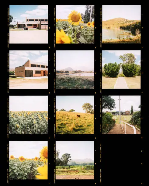 Photo of Photography contact sheet of a set of shots in countryside. Analog film photo style presentation for press agencies and artist with photos marked
