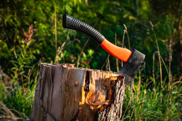 Axe in a block of wood.