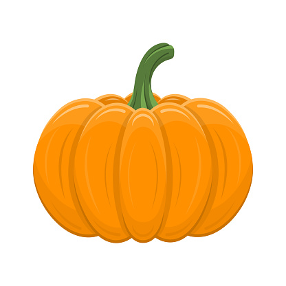 Pumpkin isolated on white background. Cartoon orange squash for Halloween, Thanksgiving. Autumn holidays. Vector illustration for any design.