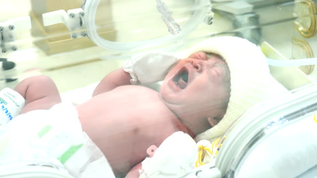 Close up of Newborn Baby inside Incubator, portrait of young asian newborn baby boy crying inside medical intensive care units incubator at hospital