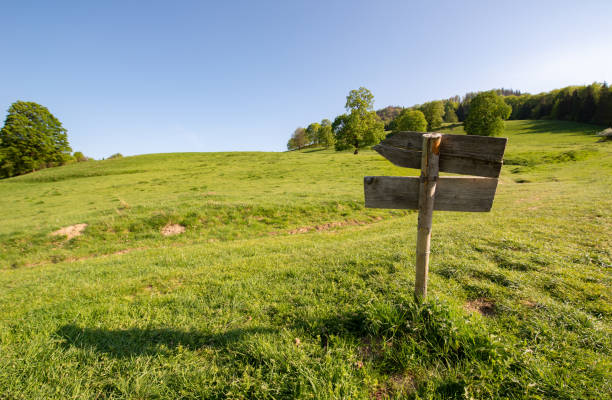 istock wooden old sign on a green meadow 1163667394