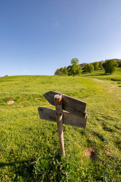 istock wooden old sign on a green meadow 1163667397