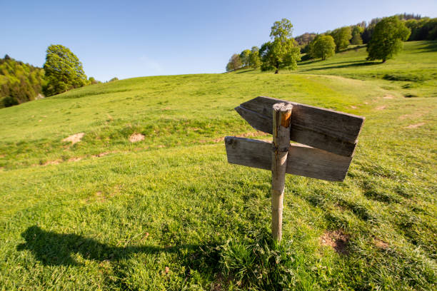 istock wooden old sign on a green meadow 1163667409