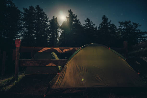 Tent camp in forest , long exposure shot at night with moon light and starry background