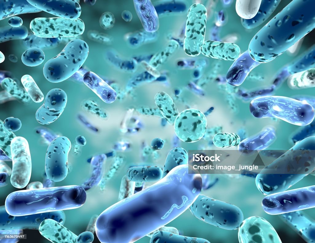 Bifidobacterium, bacterial strain3d illustration. Bacterium Stock Photo