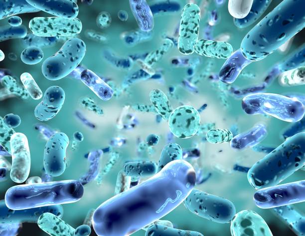 бифидобактерии, бактериальный штамм3d иллюстрация. - probiotics стоковые фото и изображения