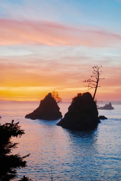 istock sunset over rocks near Tillamook, Oregon 1163671426