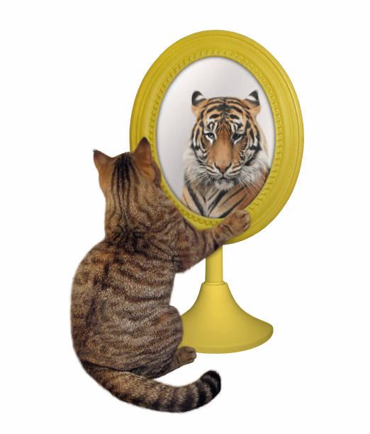 My Image 24