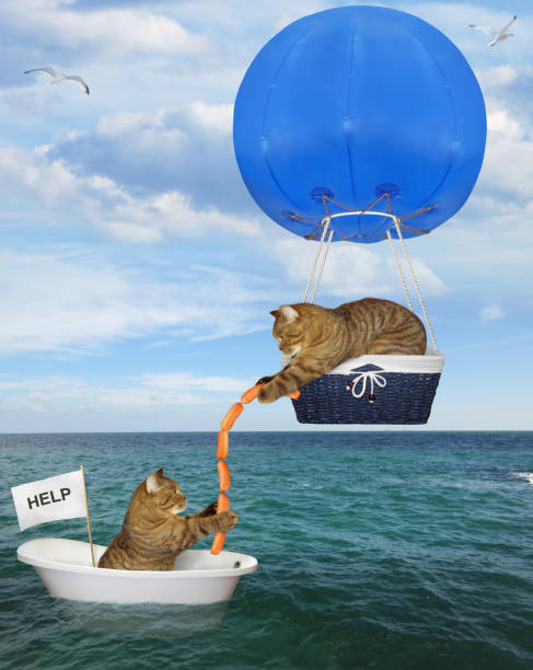 istock Cat rescuer in a blue hot air balloon 2 1163673042