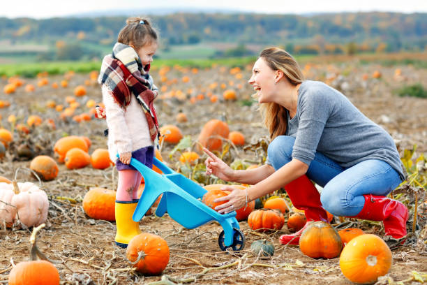 小さな子供の女の子とカボチャのパッチで農業を楽しんで美しい母親。子供との伝統的な家族の祭り、感謝祭やハロウィーンの概念。かわいい農夫、娘と女性。 - pumpkin child little girls pumpkin patch ストックフォトと画像