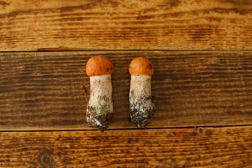 Two redhead mushrooms laid out on a wooden background. View from above. Flat lay.