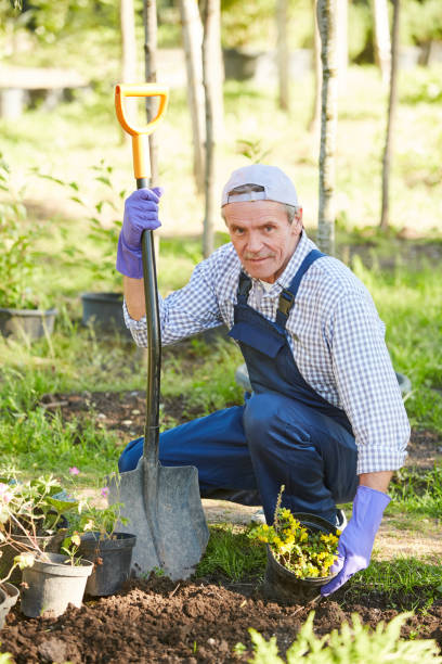 istock Mature Man Planting Flowers 1163678000